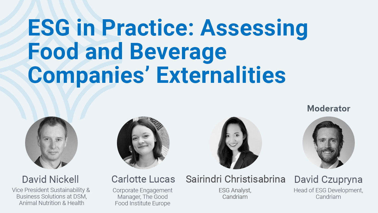 ESG in Practice: Assessing Food and Beverage Companies’ Externalities
