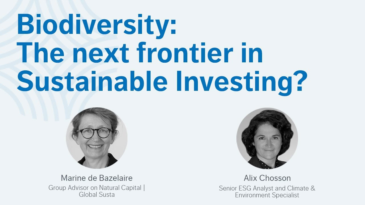 Biodiversity: The Next Frontier in Sustainable Investing?