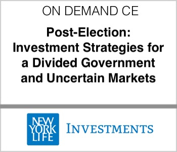 NYL - Post-Election: Investment Strategies for a Divided Government and Uncertain Markets