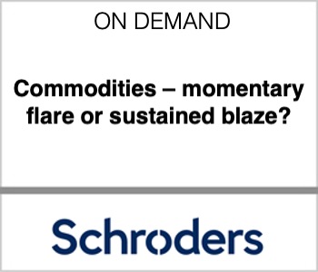 Commodities – momentary flare or sustained blaze?