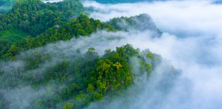 Invest in Climate Change Solutions