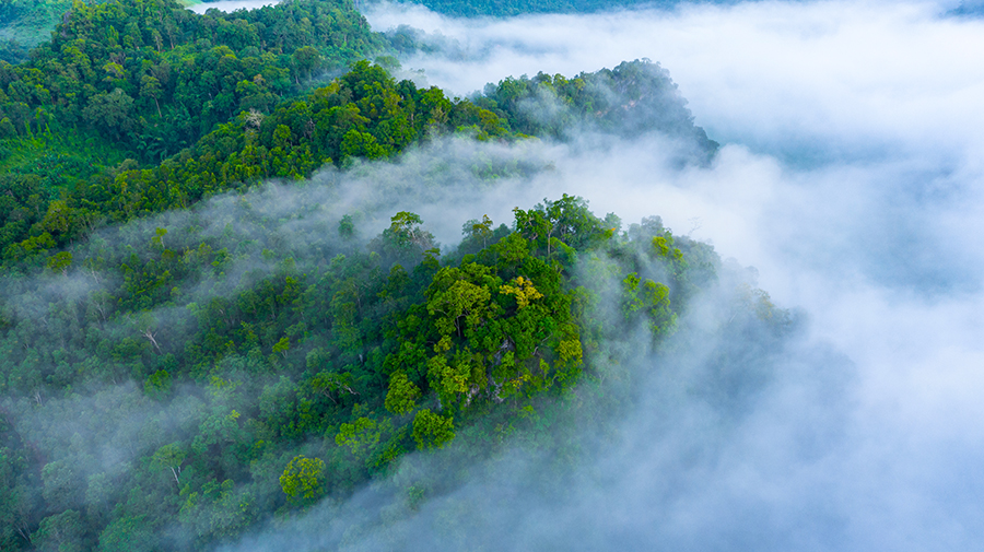 Invest in Climate Change Solutions