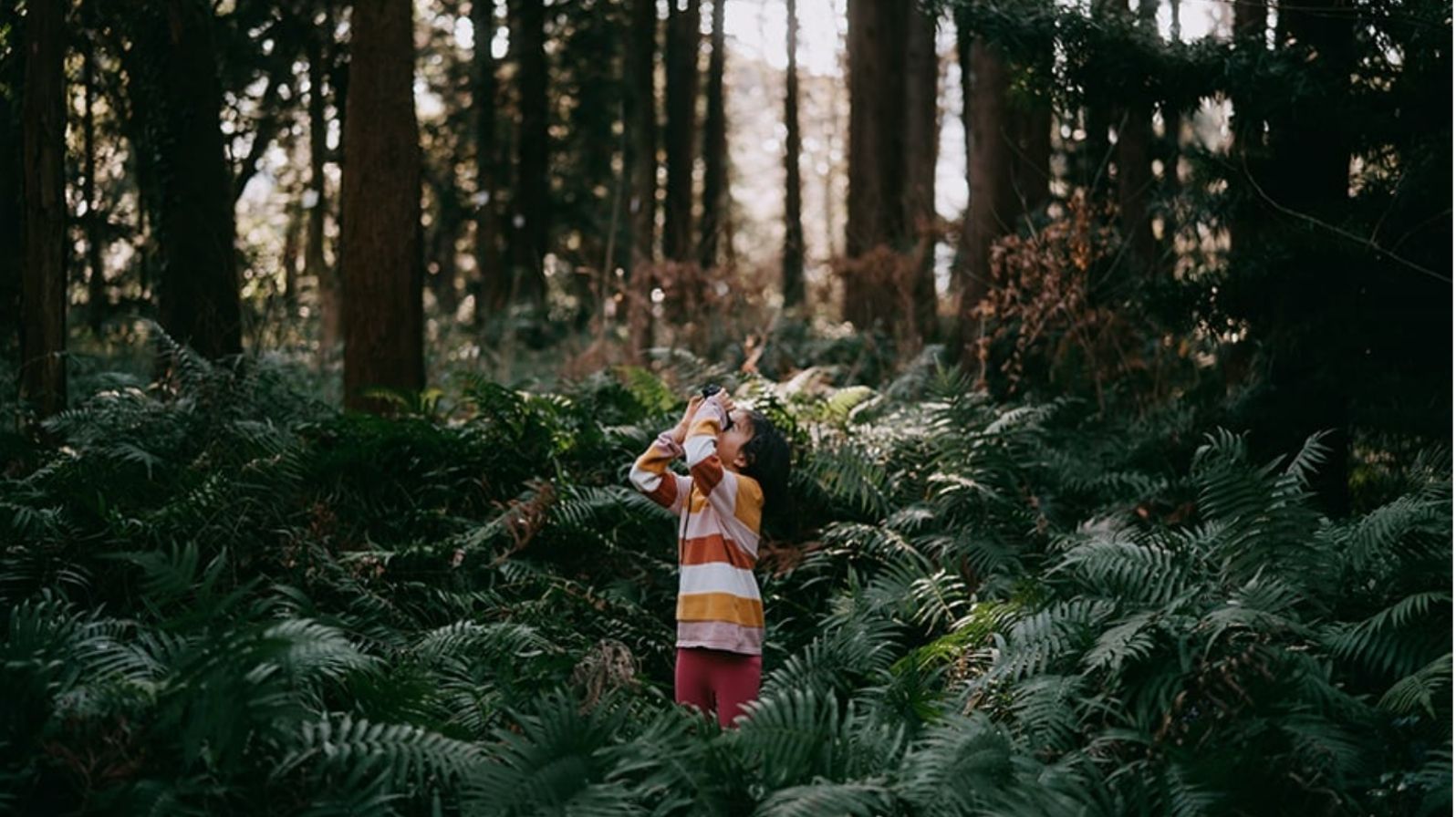 Baillie Gifford - Private Growth: Looking Over the Overlooked - featured image
