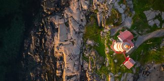 RBC Global Asset Management July Whitepaper