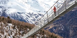 MFS Investment Management - October 2025 Whitepaper Thumbnail