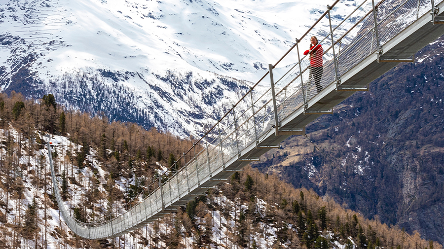 MFS Investment Management - October 2025 Whitepaper Thumbnail