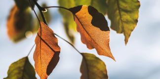 Loomis October Whitepaper 2025 Thumbnail