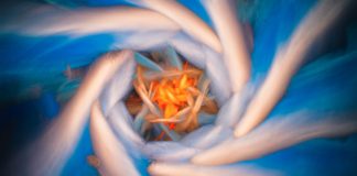 Loomis- A welcome revival