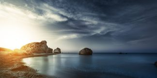 RBC November Whitepaper Image